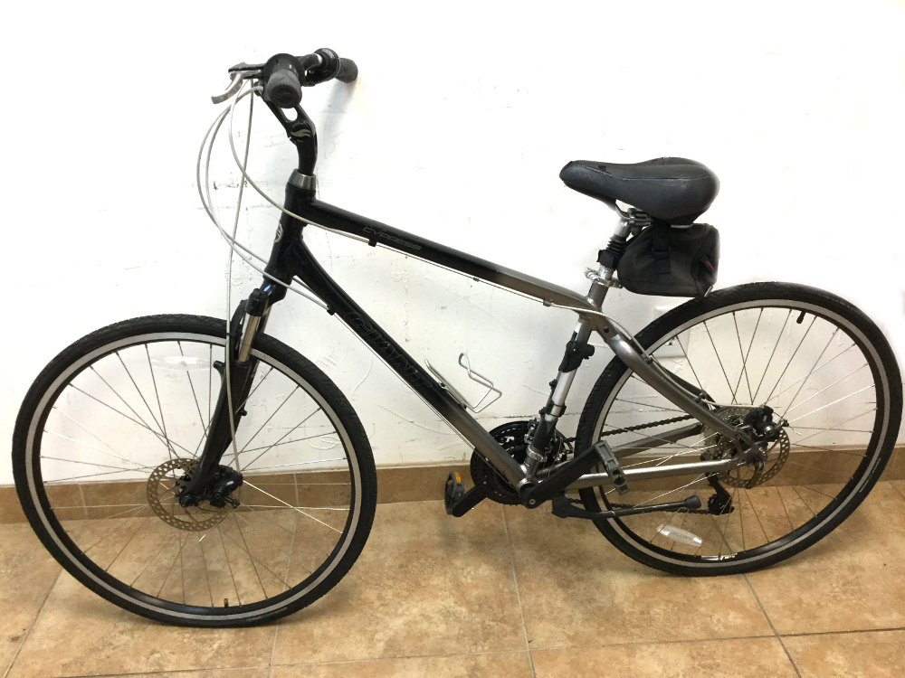 giant cypress dx 2005