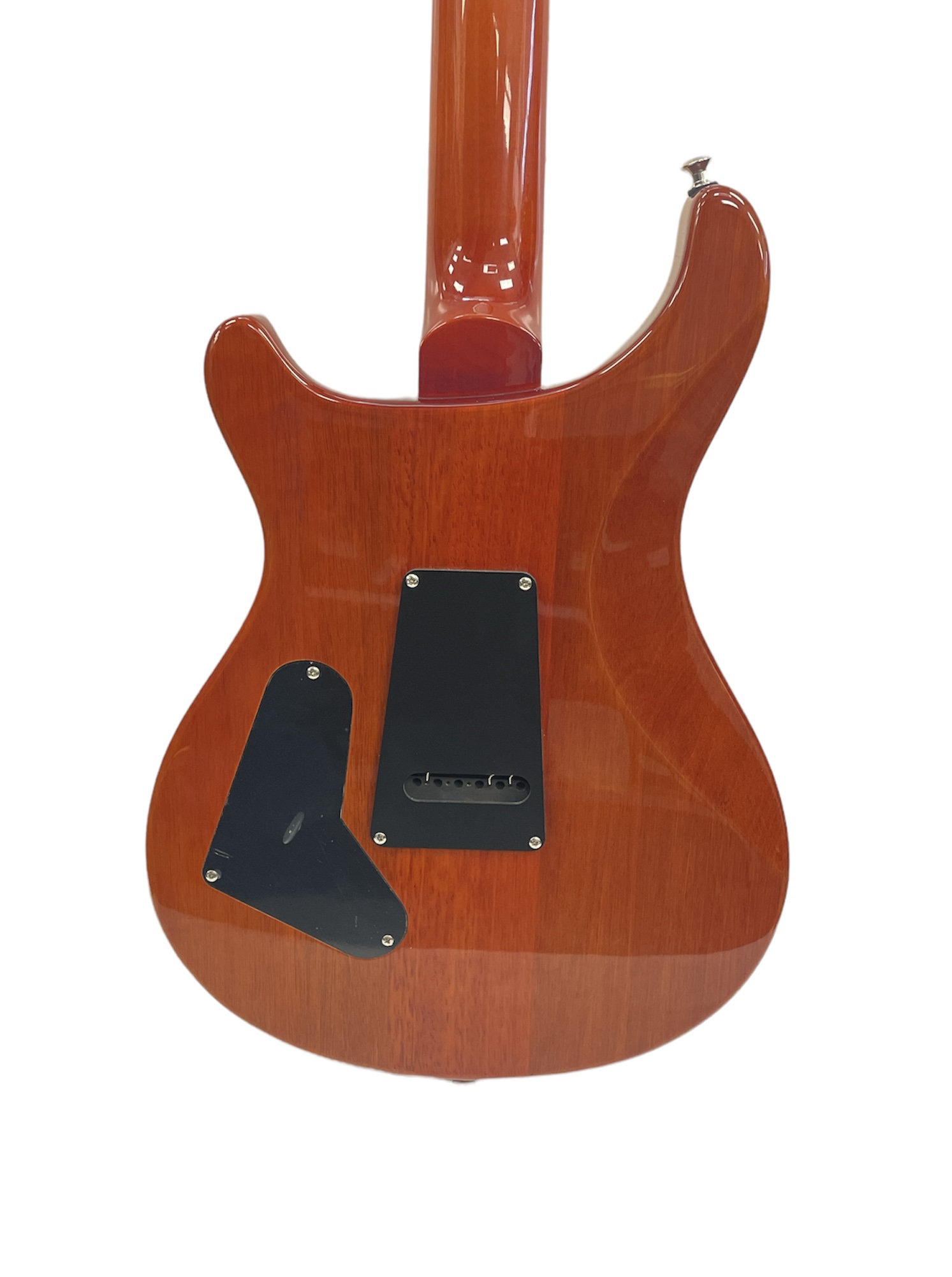 prs-guitar-electric-se-custom-24-exotic-top