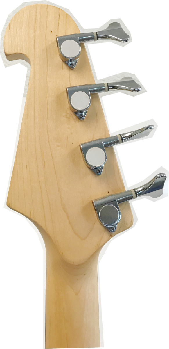 Stedman Bass Guitar Pro
