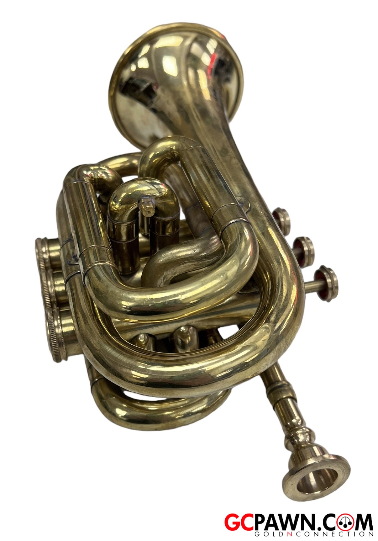 Nadir ali trumpet price outlet