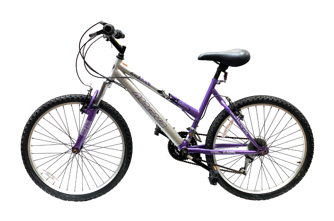 magna great divide purple