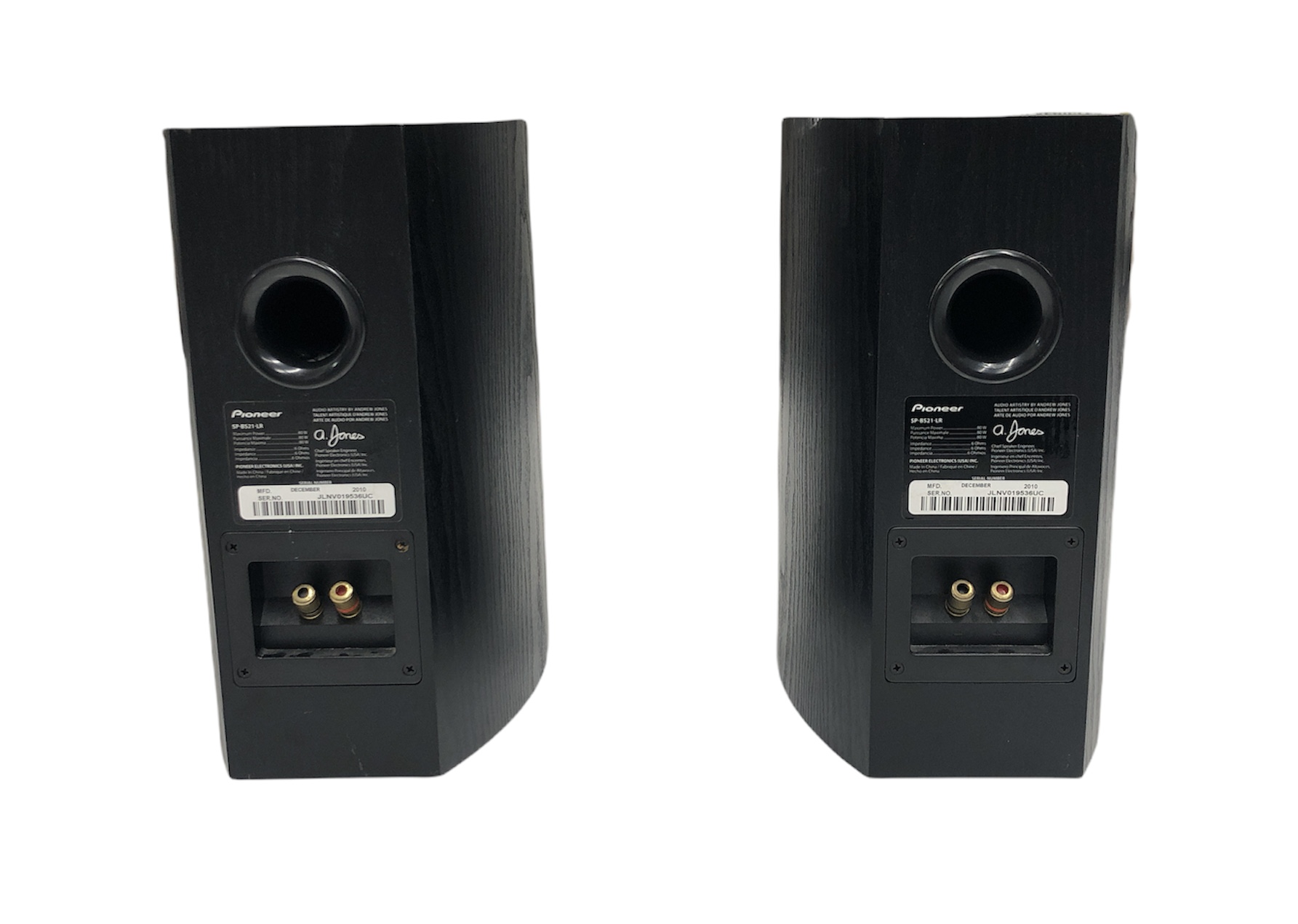 Pioneer Speakers SPBS21LR