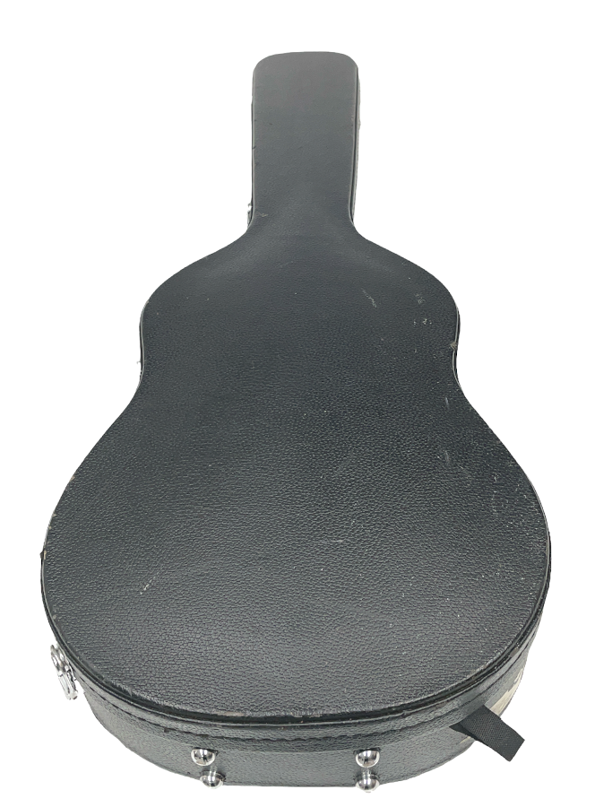 Custom Guitar Case Guitar Case