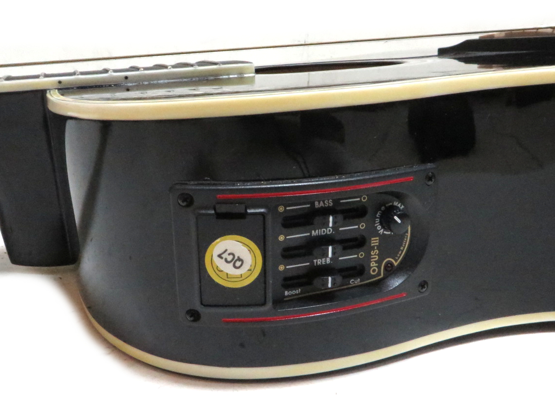 Esteban Guitar Acoustic electric ALC200