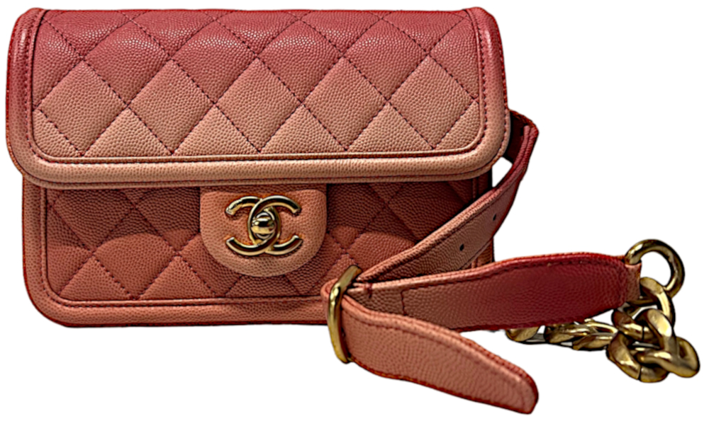 Chanel Sunset by The Sea Purse