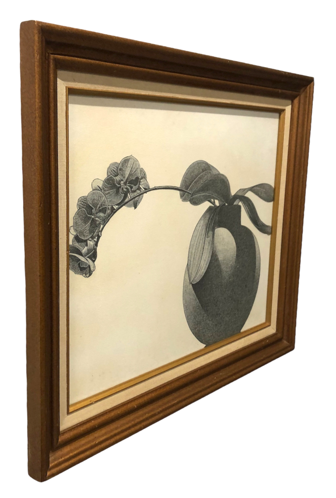 Max Schacknow - Orchids And Shadows