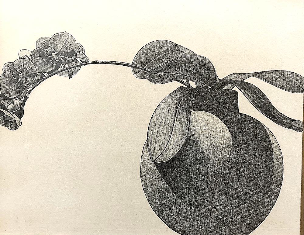 Max Schacknow - Orchids And Shadows