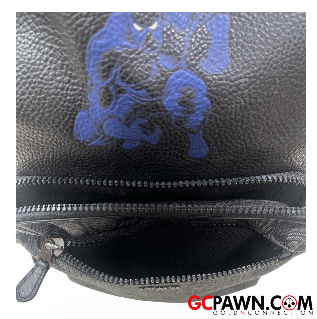 Coach - 2408