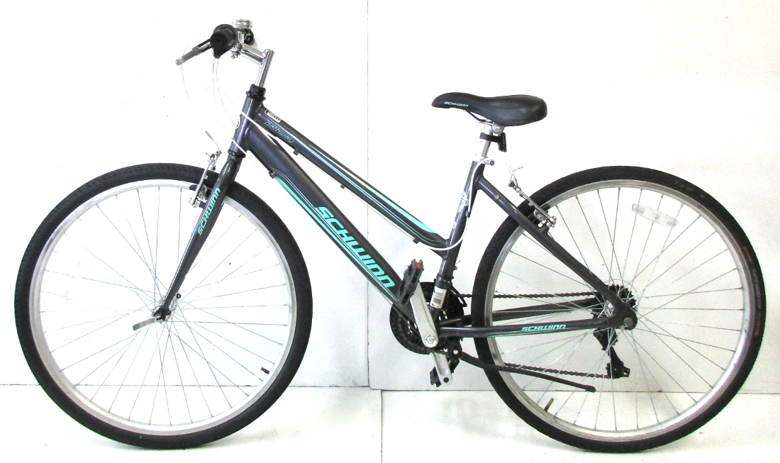 schwinn pathway