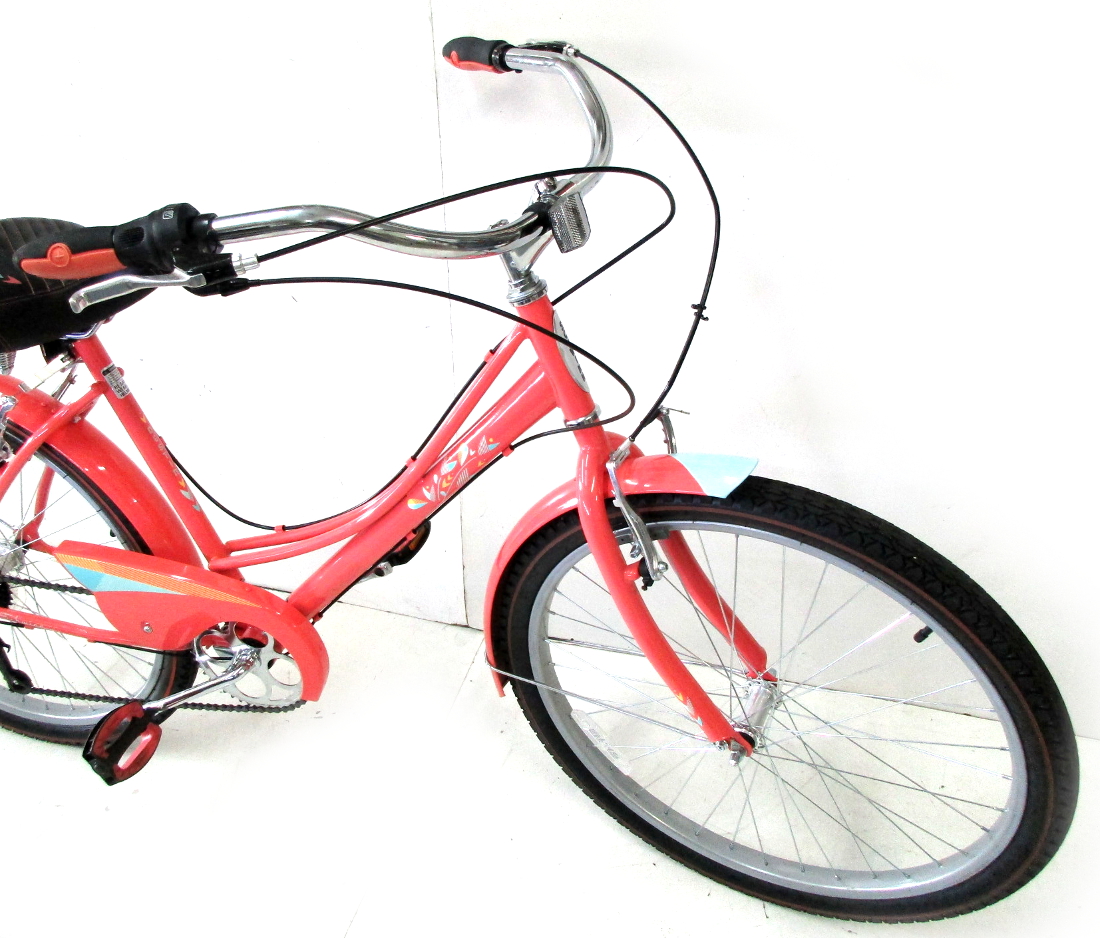 schwinn destin