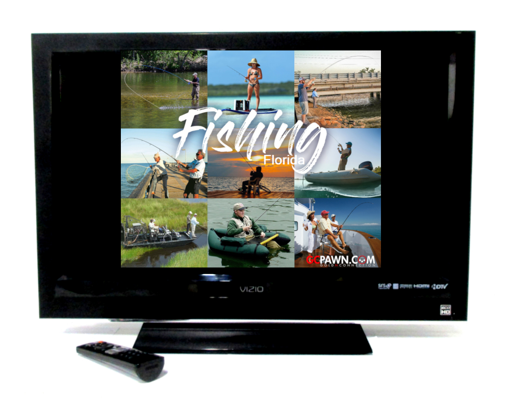 Vizio LCD VO320E